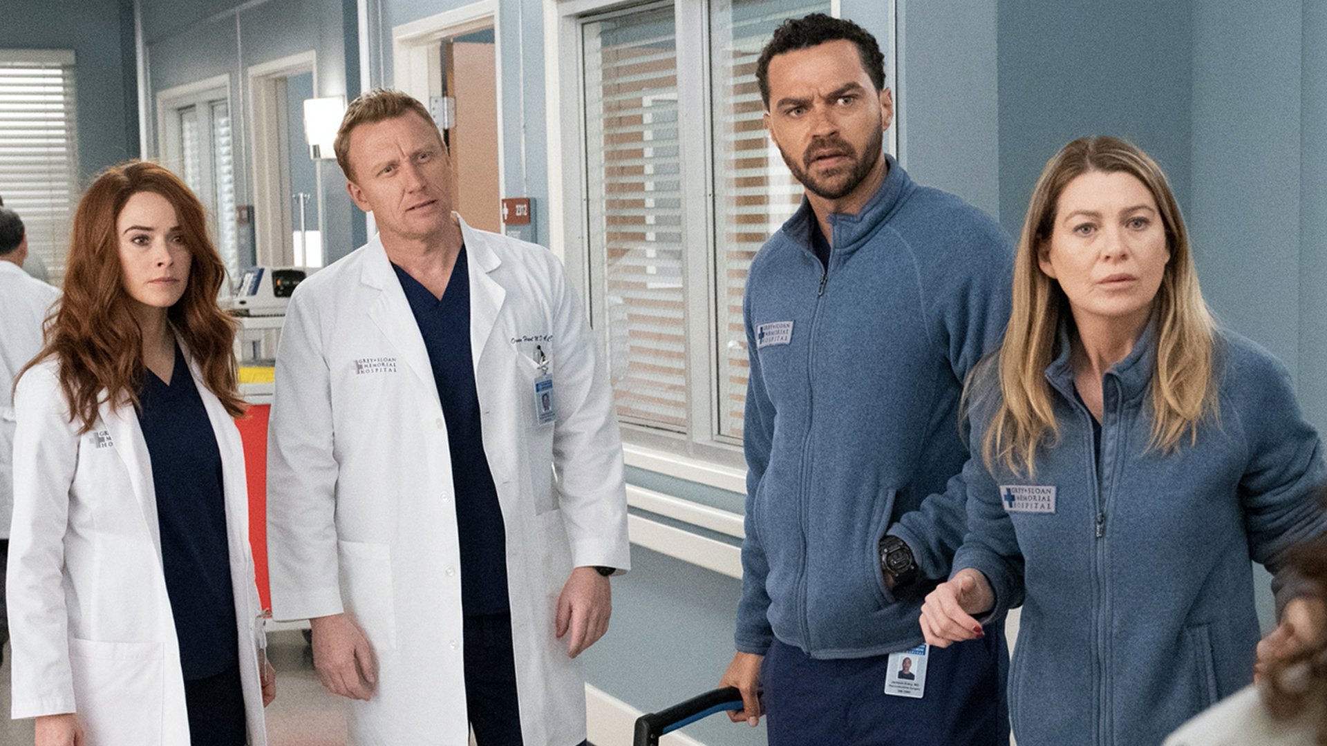 Grey s Anatomy Saison 18 Episode 14 Grey's Anatomy renouvelée pour une saison 18 avec Ellen Pompeo