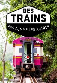 Des trains pas comme les autres (2011)