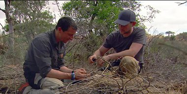 Watch Running Wild with Bear Grylls TV Show - Streaming Online