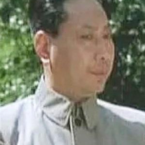 Zhao Qin