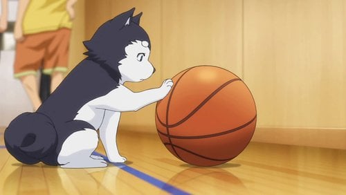 Onde assistir à série de TV Kuroko's Basketball em streaming on-line?