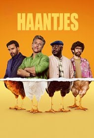 Haantjes