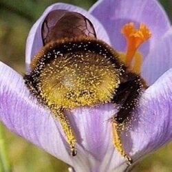 avatar de du commentaire : Très très chouette bien que légèrement édulcorée sur la bio de certaines d'entre elles (même si certains pans de vie sont quand même évoqués) ! Mais l...