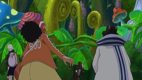 One Piece: Season 17, Episode 107