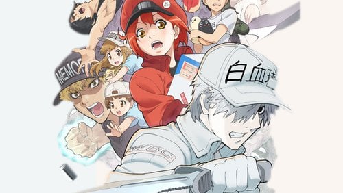 Cells at Work, After five episodes (Netflix)