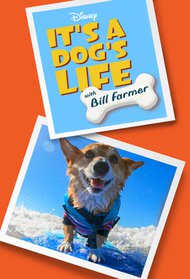 It's a Dog's Life With Bill Farmer