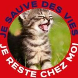 avatar de du commentaire : Cette série est rès bien, je l'adore.