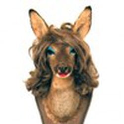 avatar de myrca