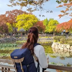 avatar de du commentaire : Superbe série sur l'histoire des medicis.. Vraiment à voir si vous aimez l'histoire et en savoir plus sur Florence et la politique de l'époque.. 5 éto...