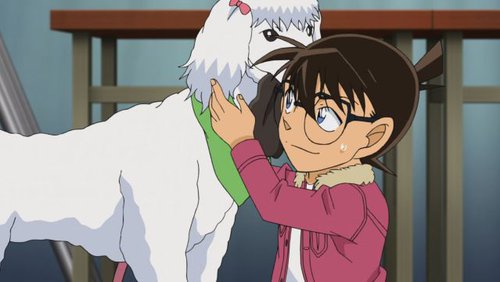 detective conan episode 27