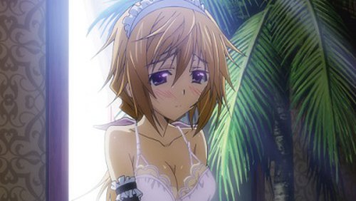 Infinite Stratos 2: Infinite Wedding