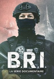 B.R.I. La série documentaire