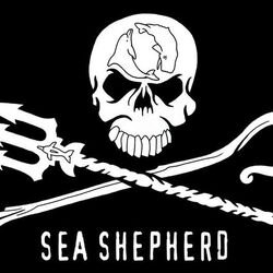 avatar de du commentaire : On peut la télécharger gratuitement ici : (lien que Sea Shepherd France met à disposition) https://justiciersdesmers0.wixsite.com/justiciersdesmers/sa...