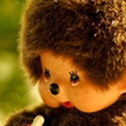 avatar de bifidus
