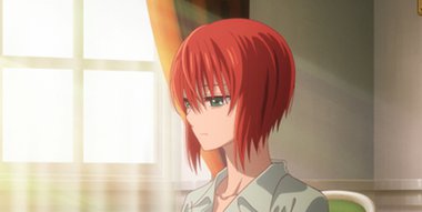 Watch The Ancient Magus' Bride Episode 14 Online - Looks breed