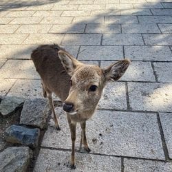 avatar de du commentaire : Bonne première saison… j’ai décroché sur la deuxième. 