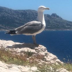 avatar de du commentaire : Excellente cette petite série, comme un bon rafraîchissement  ! 🙂