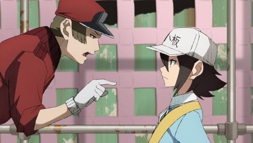 Cells at Work! CODE BLACK - Episode 1 - Anime Feminist