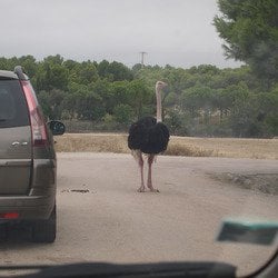 avatar de du commentaire : J'aime cette série, pour moi elle est parfaite pour l'automne hiver. 
Tout y est tout doux tout chou ! Les personnages sont attachant et même si je t...