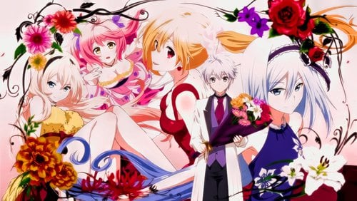 The Anime Network To Stream Undefeated Bahamut Chronicle in Latin