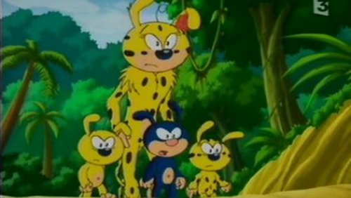 mon ami marsupilami la rencontre